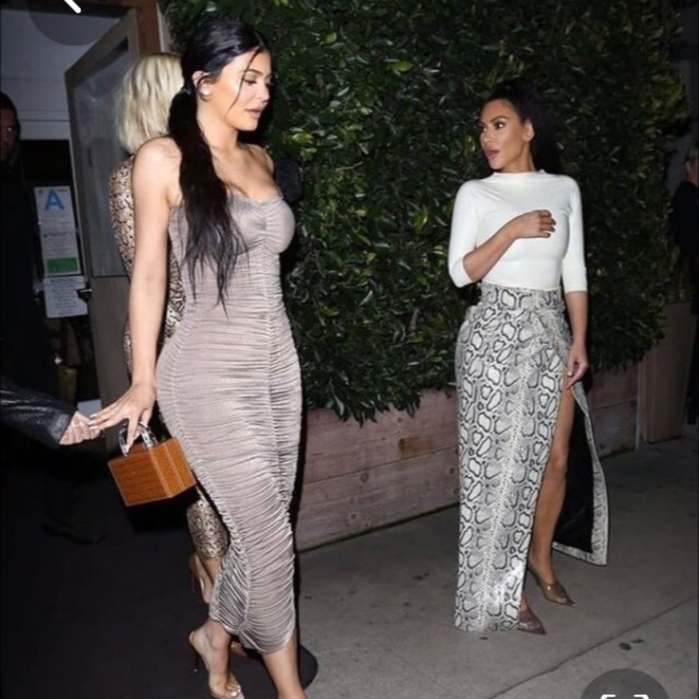 Sexy Nude Ruched Mid-length Dress